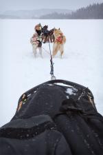 View from sled while heading down Clearwater Lake.