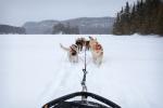 View from sled as we near the east end of Clearwater Lake.