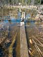 Floating Planks, Lower Pauness to Shell Portage