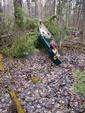 Canoe on Tree Blockage, Fat to Slim 