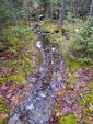 Flooded Trail, Fat to Slim 