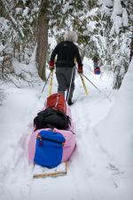 The first portage is around some rapids and a small falls along the Little Indian Sioux River.