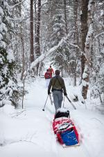 Matt, Mallory and Mark make their way along the portage from Lower Pauness to Shell Lake.