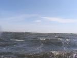 40+Gust