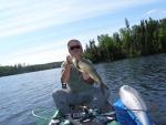 whitefish