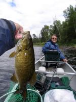 Smallmouth Bass