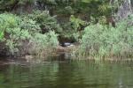 2011 Quetico