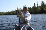 quetico 2011