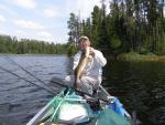 quetico 2011