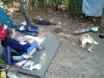 dogs at brule