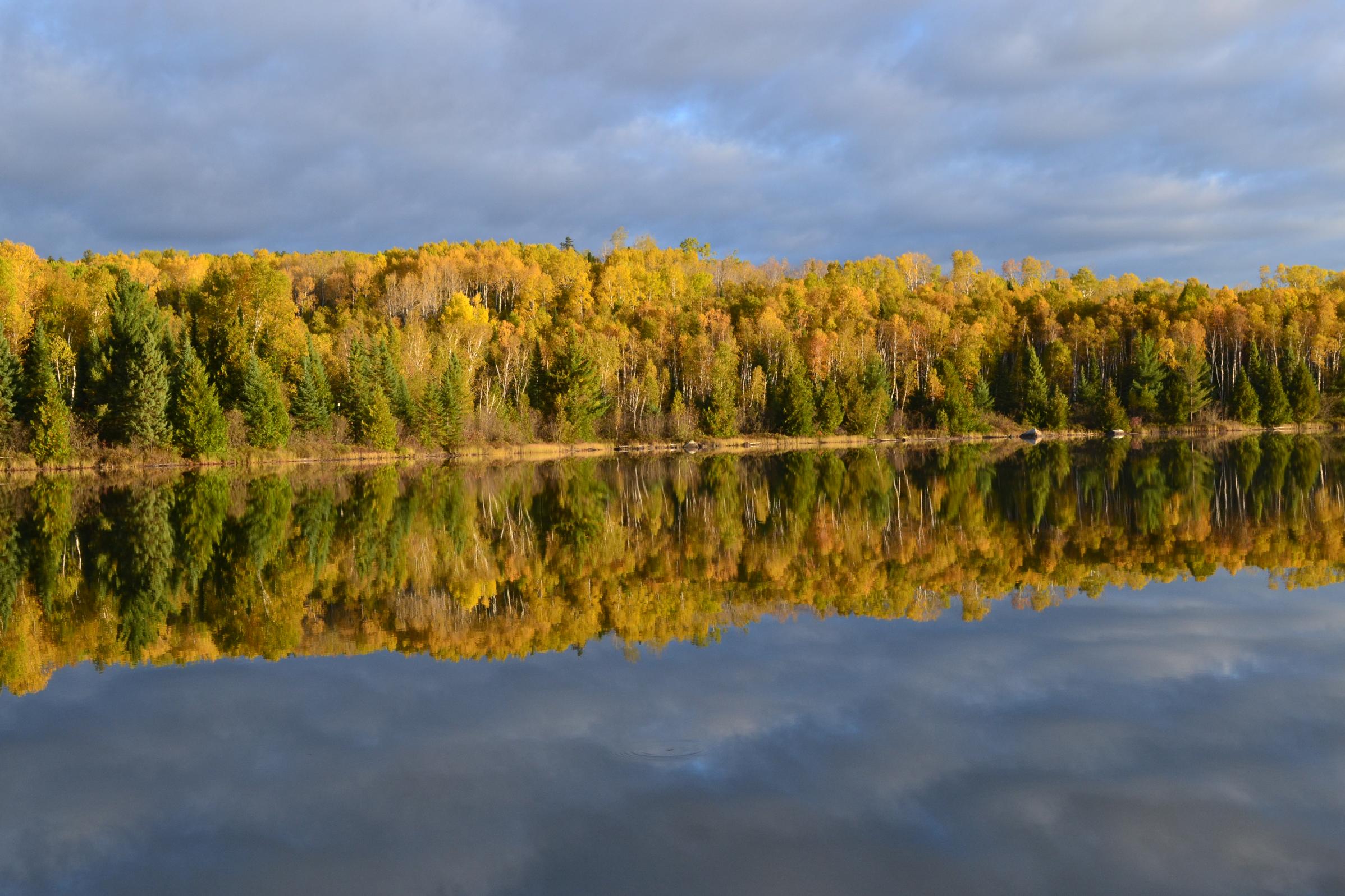 BWCA Fall colors have peaked along the BWCA Boundary Waters Listening ...