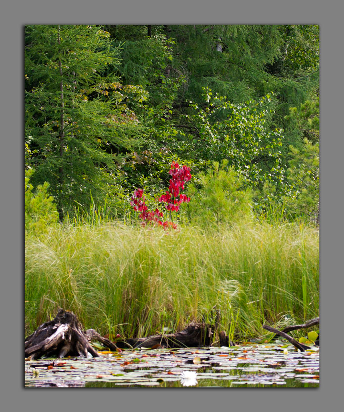 BWCA HOT HOT HOThighest water temperatures Boundary Waters Listening