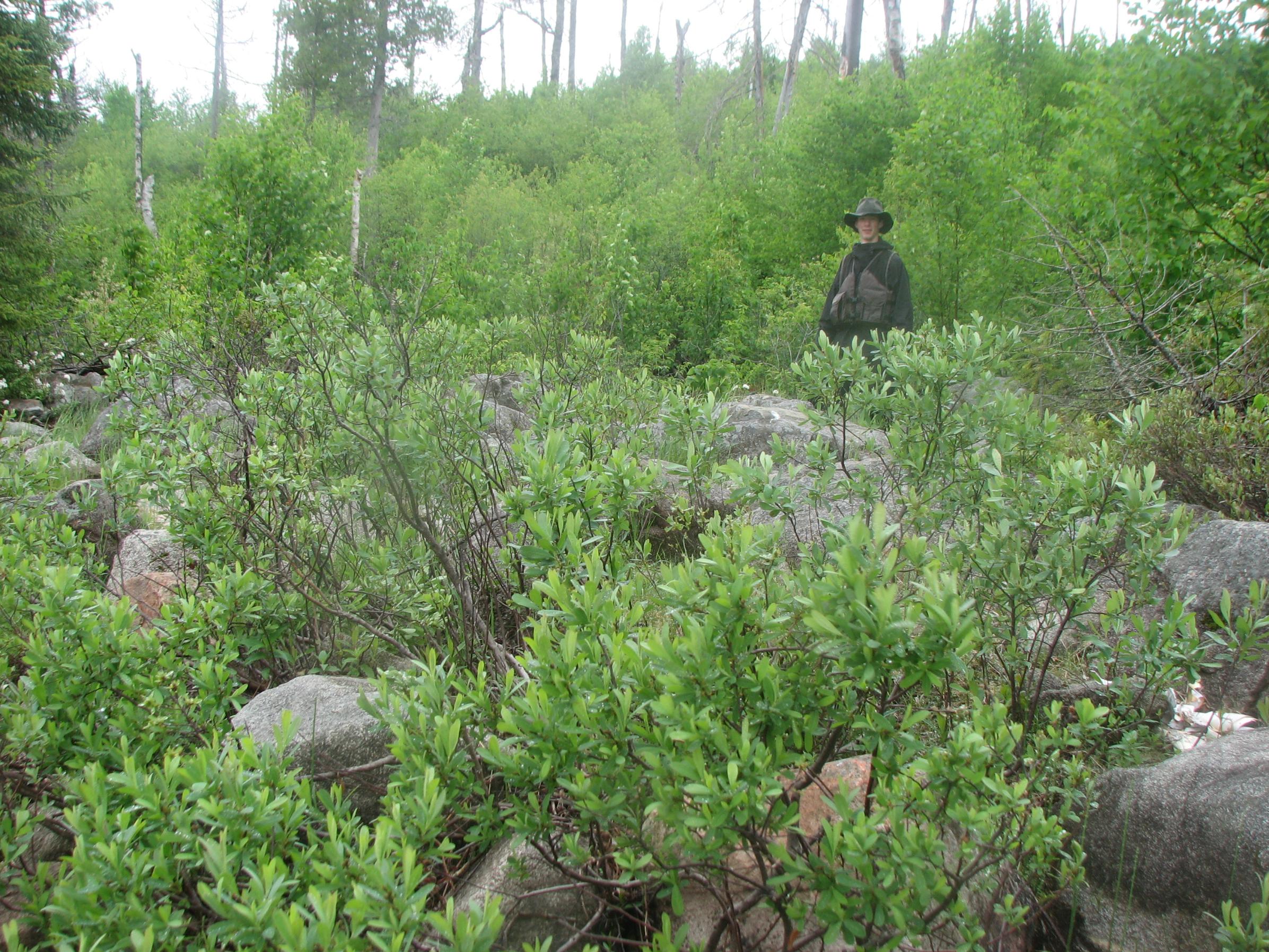 Little Trout Portage - First Hill