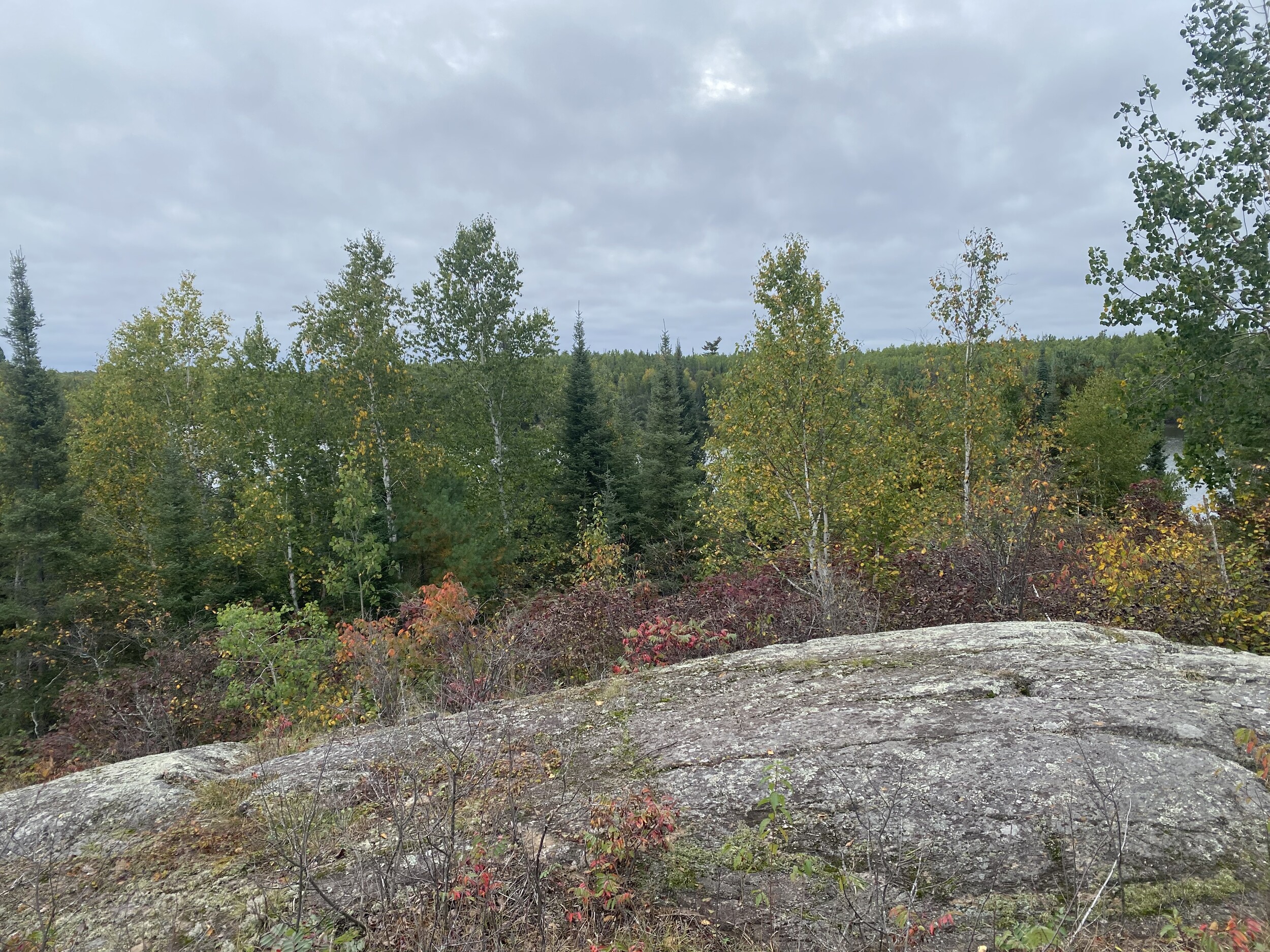 Wood Lake
