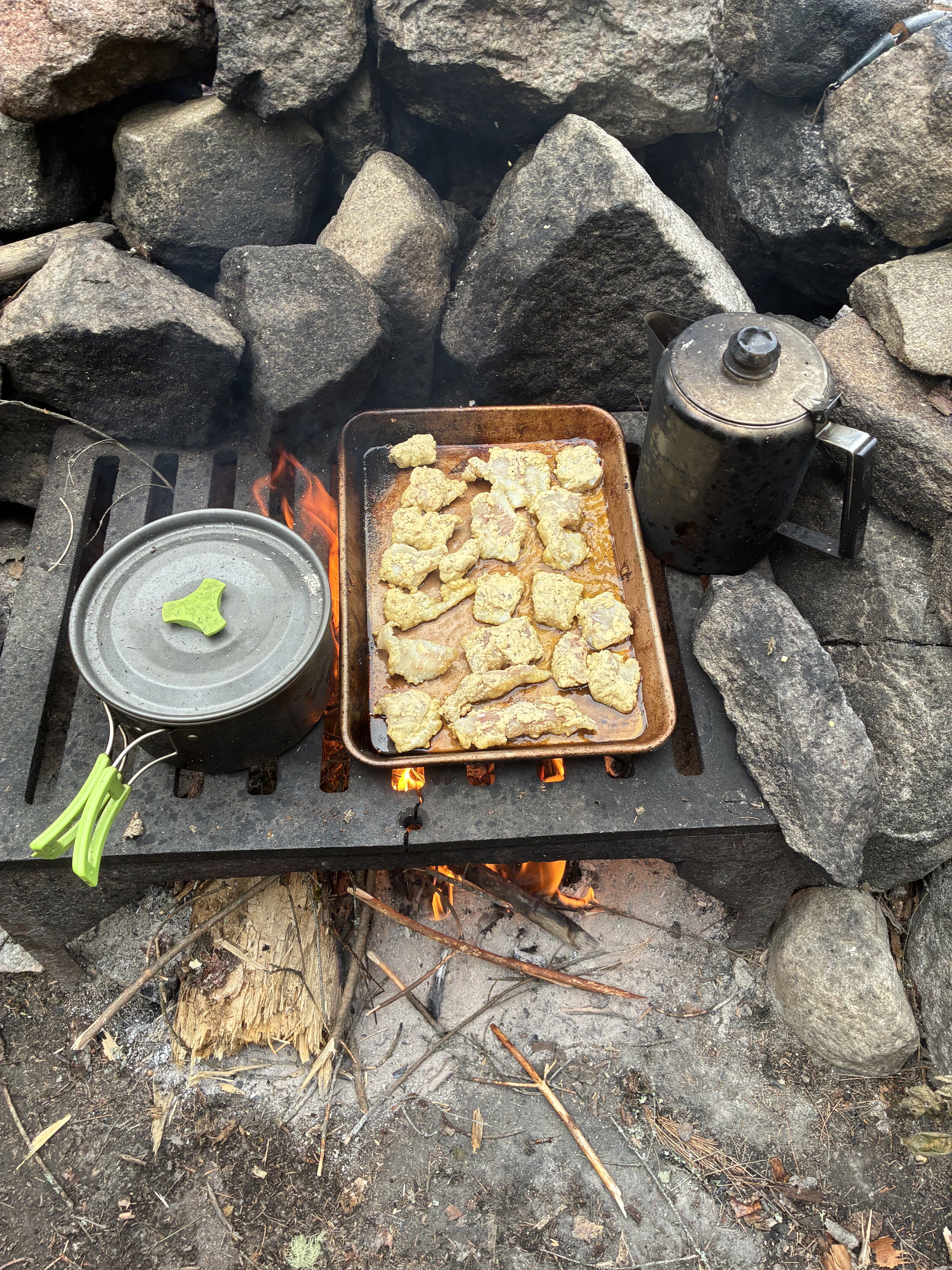 Fish Dinner