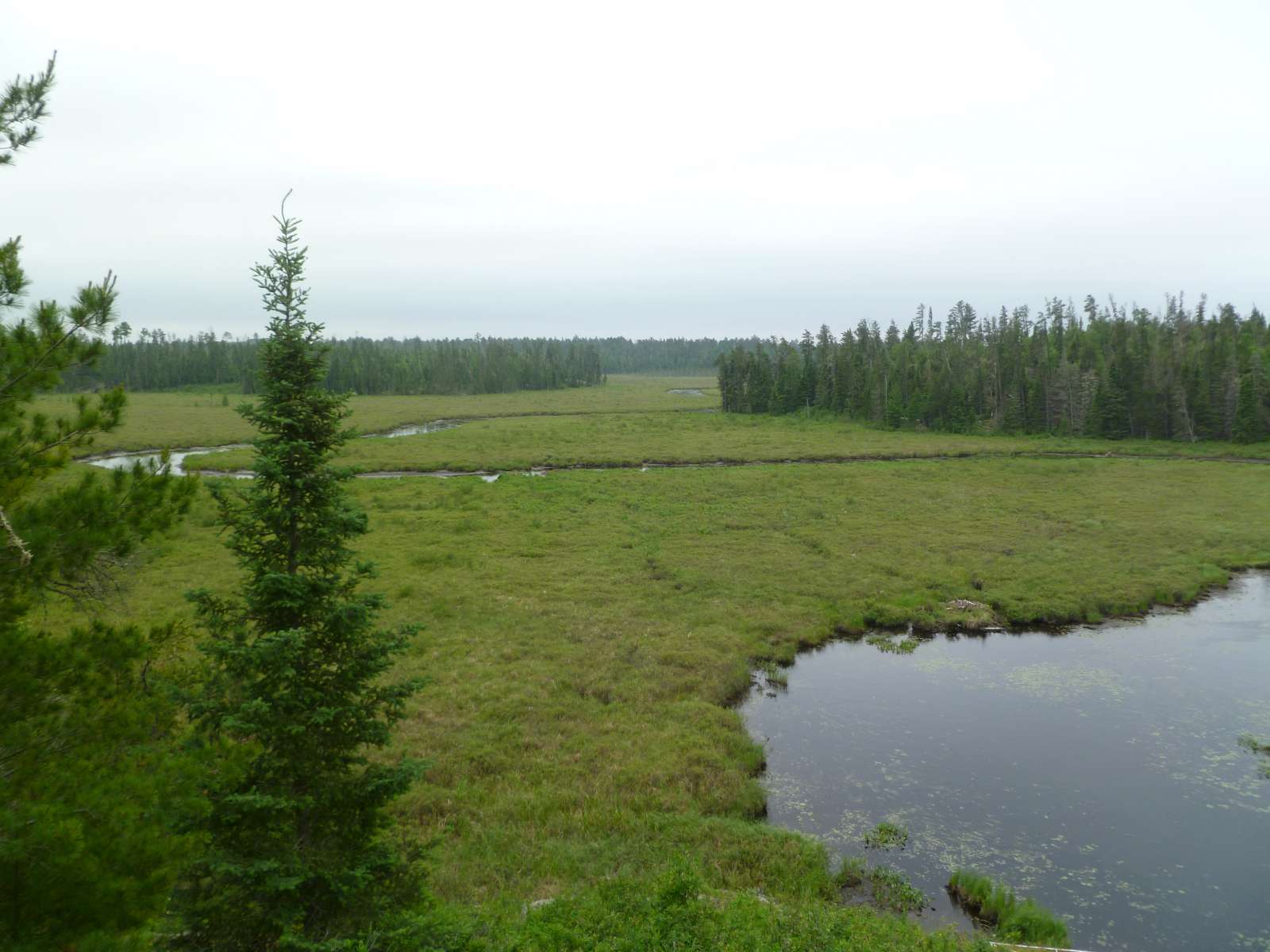BWCA Pine Creek to Pine lake Boundary Waters Trip Planning Forum