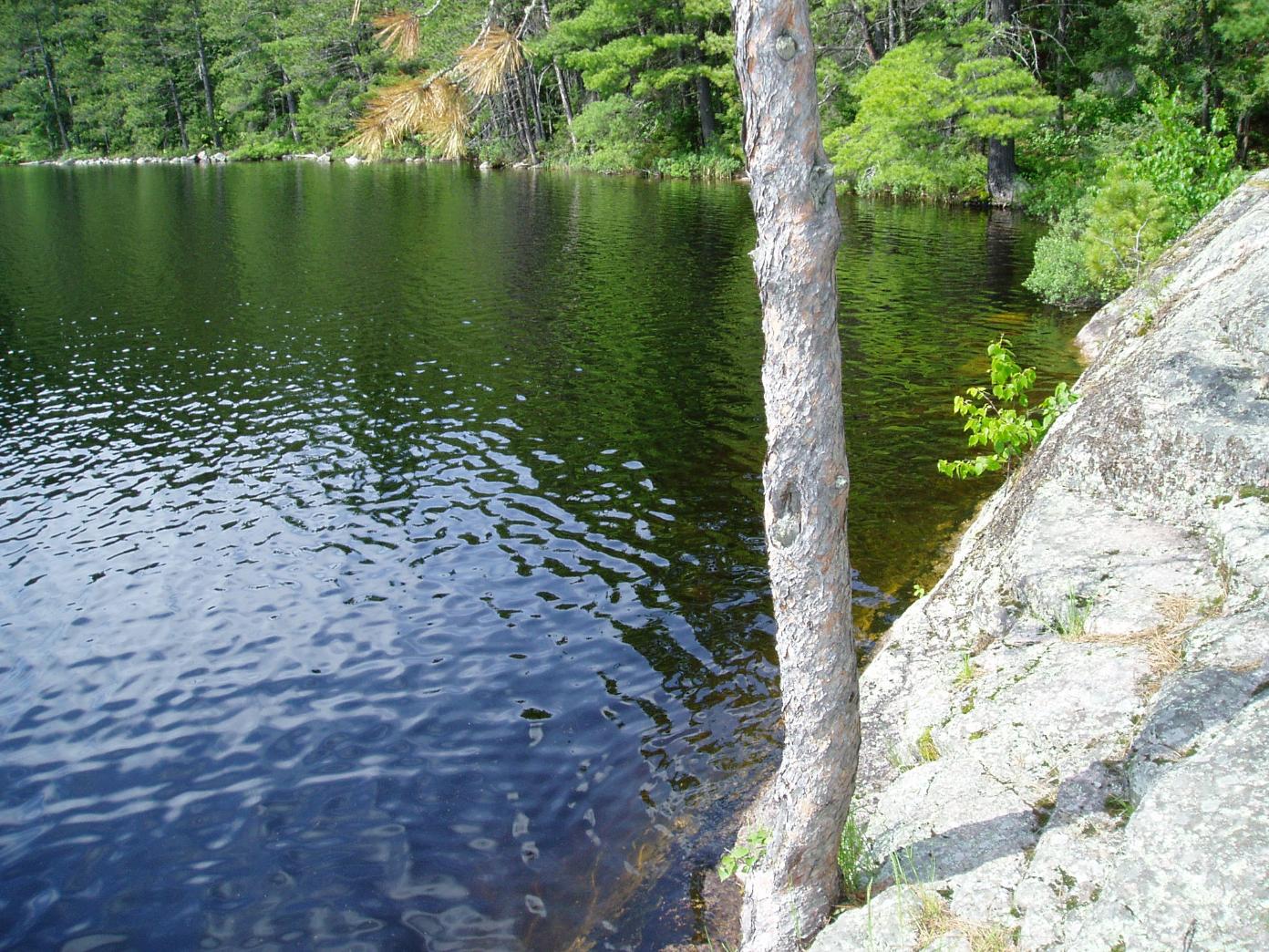 Cliff Jumping!