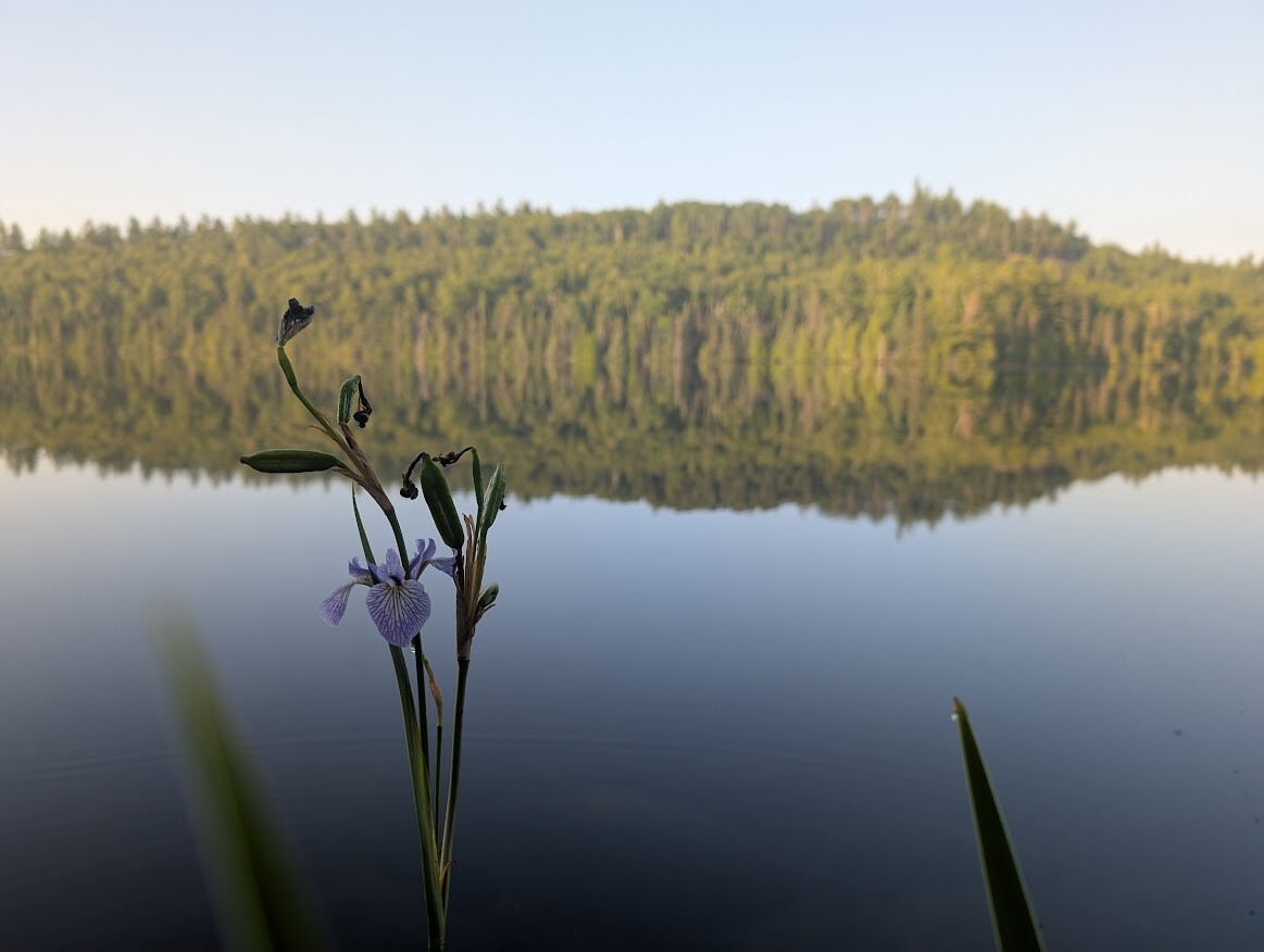 A quiet morning