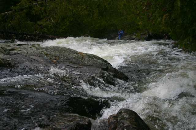 Rapids at Jasper