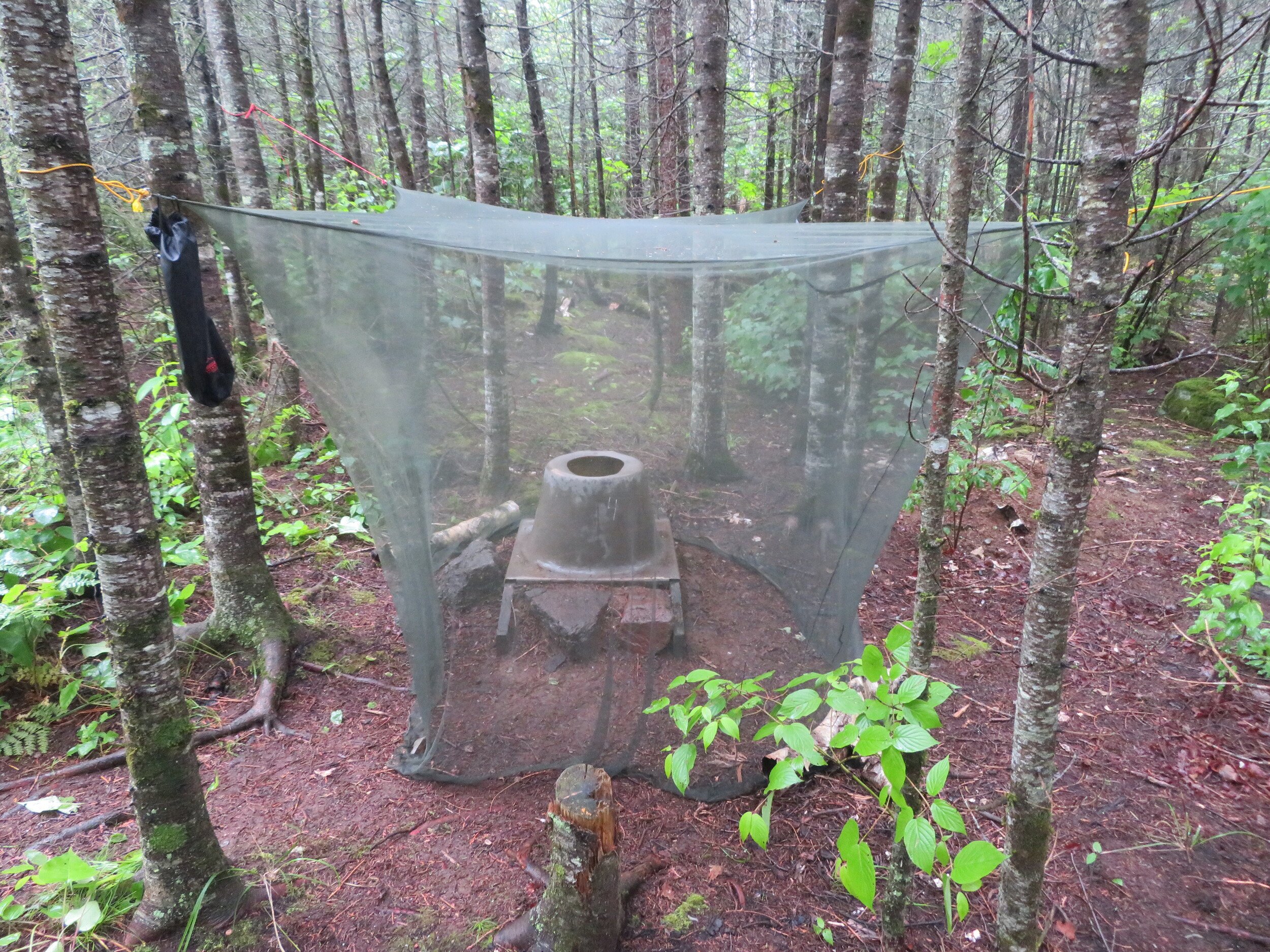 latrine