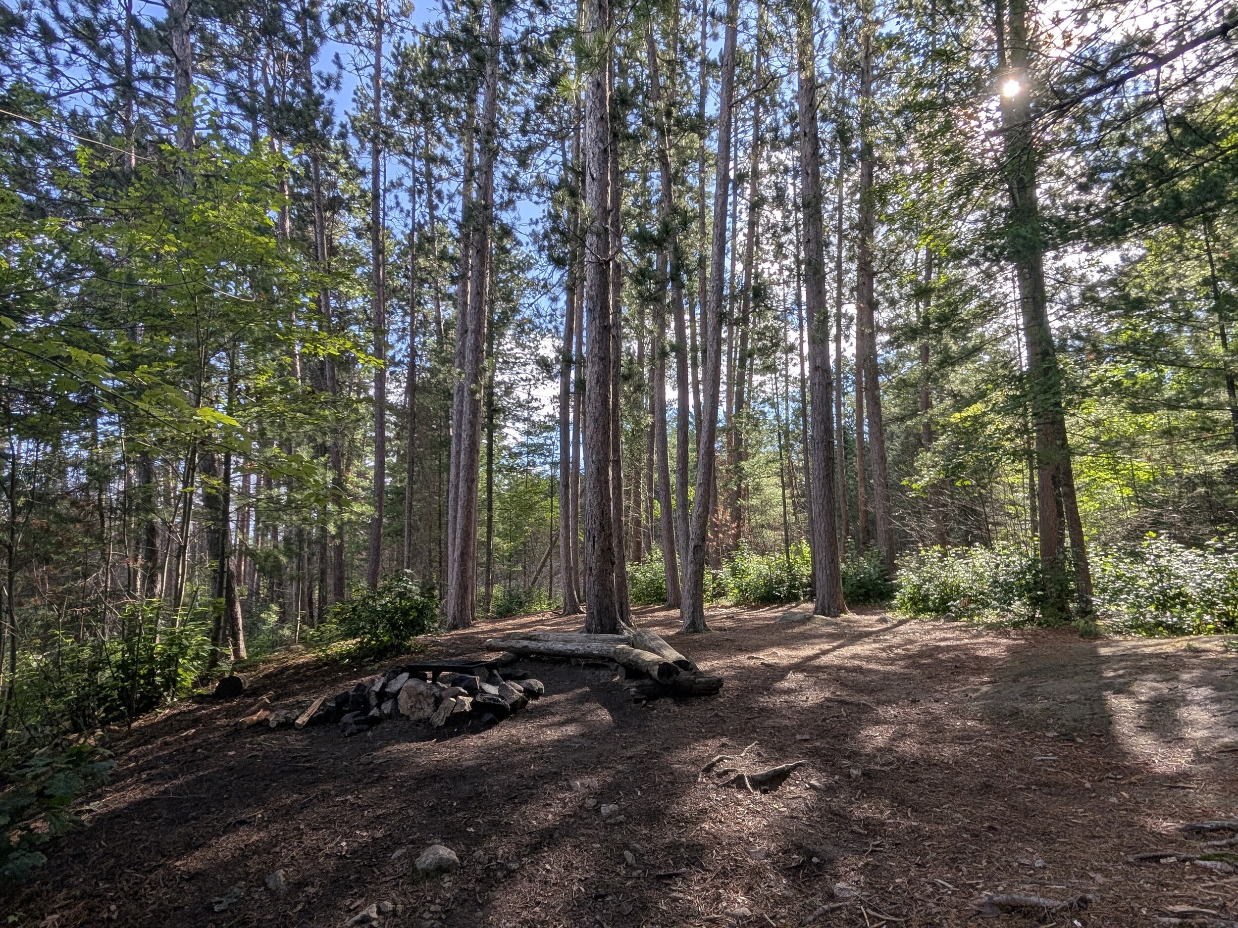 Campsite 2031