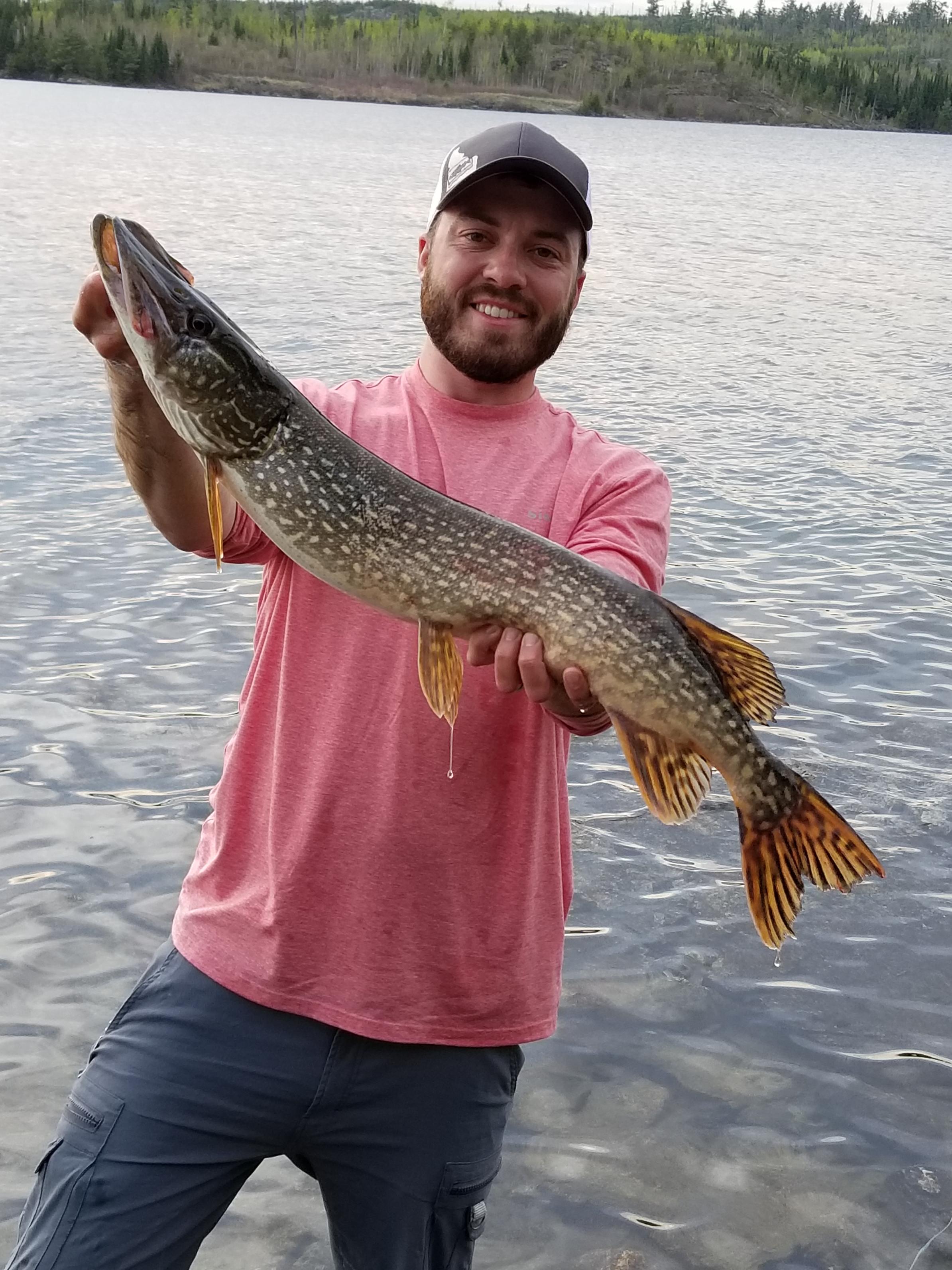 BWCA Any BWCA or Quetico fish? Boundary Waters Fishing Forum