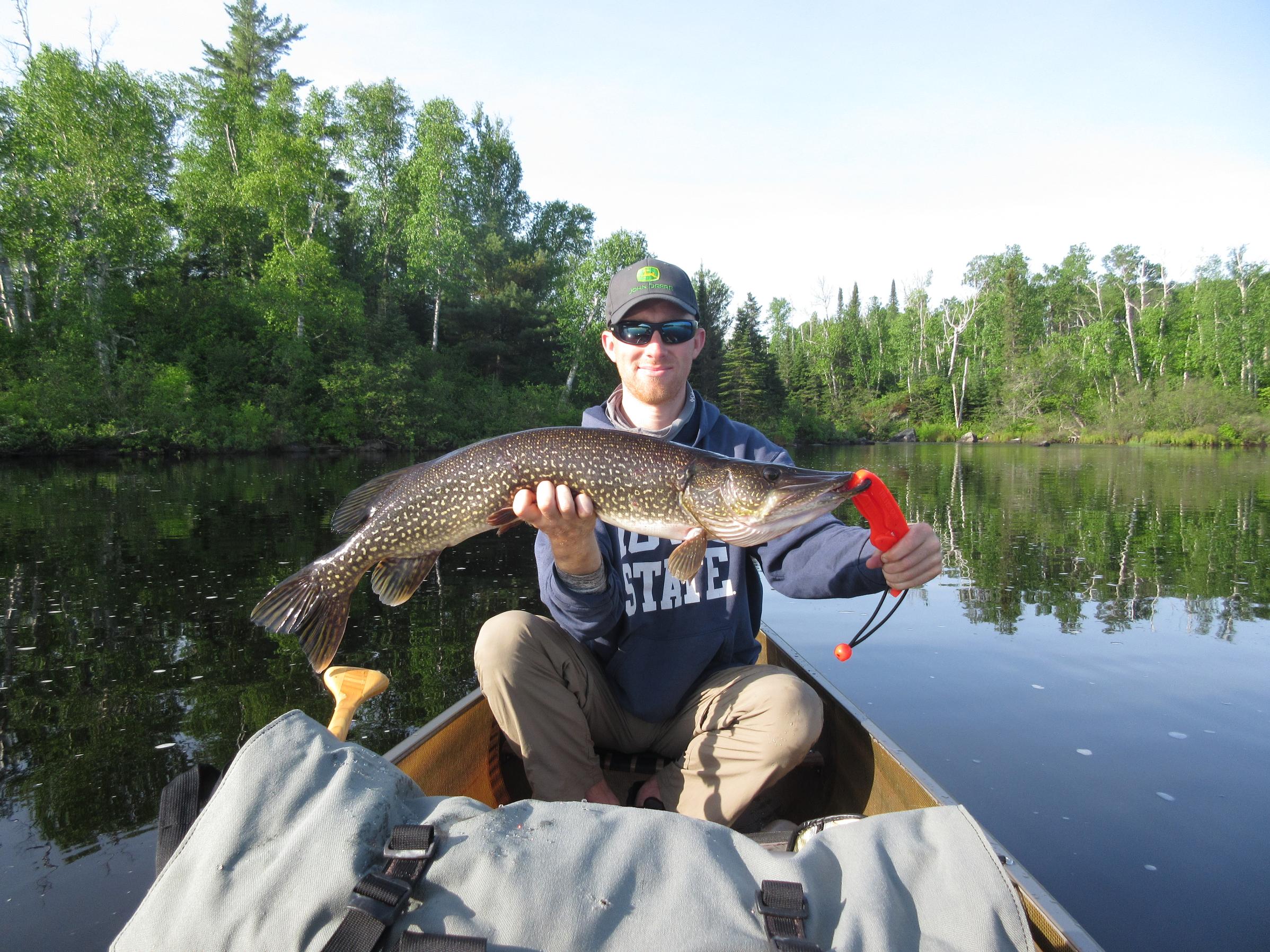 BWCA Pictures of fish, please? Boundary Waters Fishing Forum