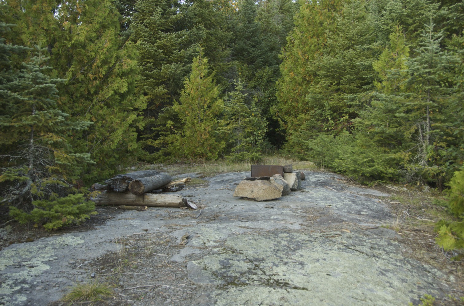 NW Campsite-Bog Lake