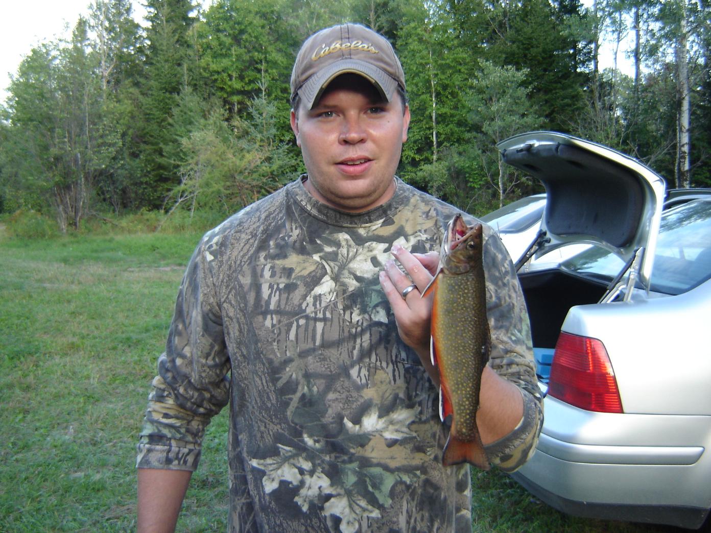 Brookie