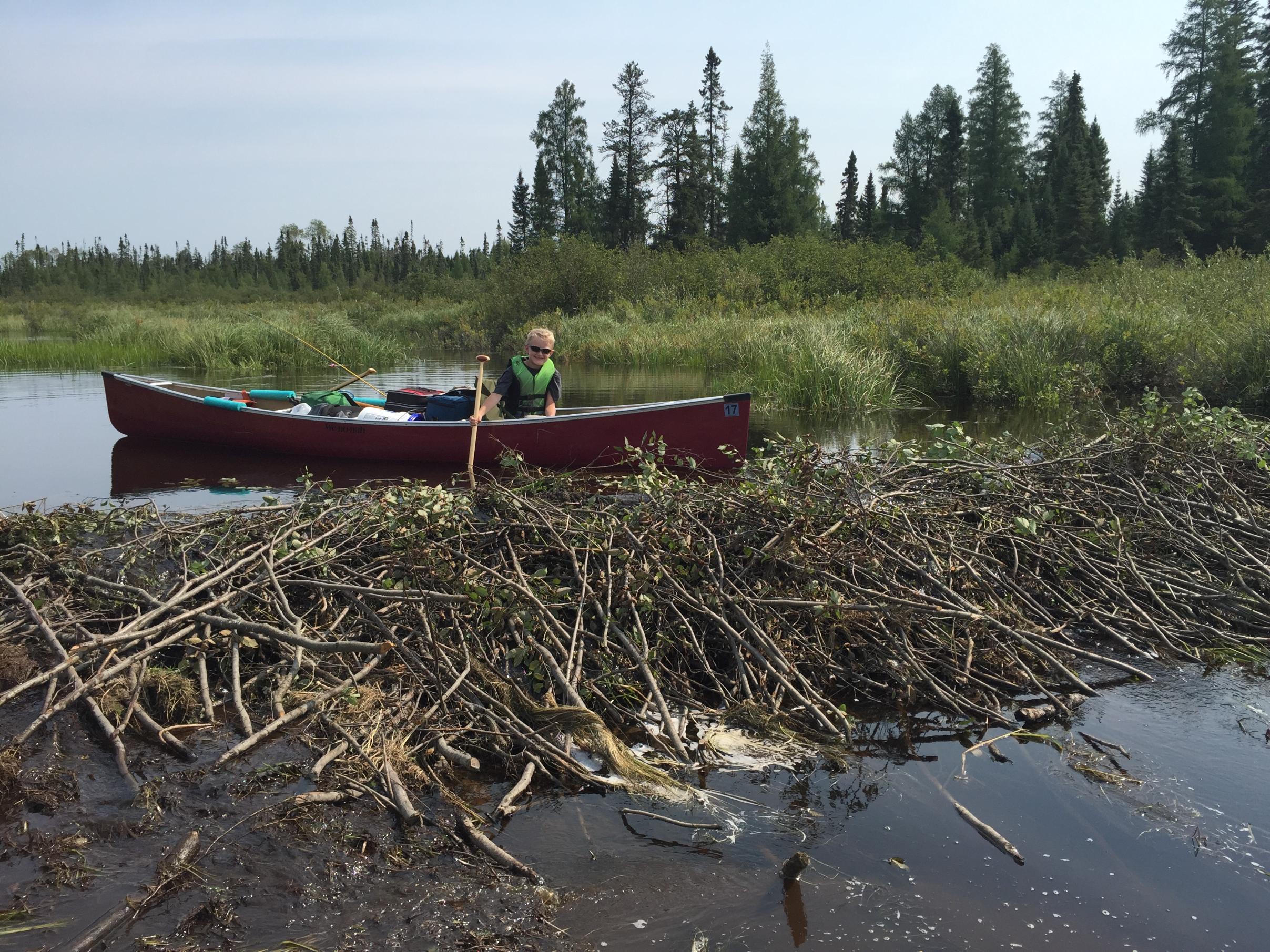 BWCA Hog Creek/Perent Lake late September? Boundary Waters Trip
