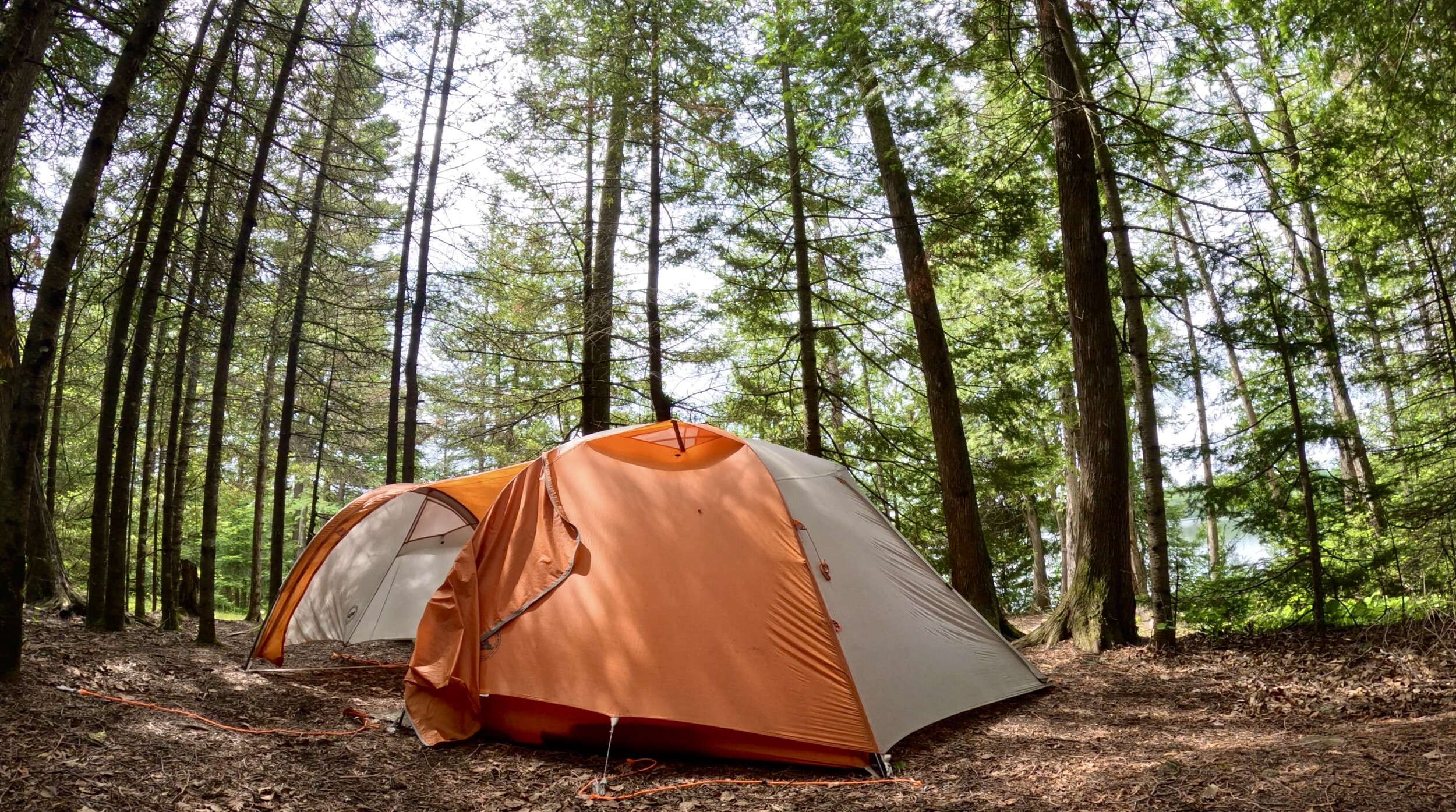 Orange Tent in Green Trees