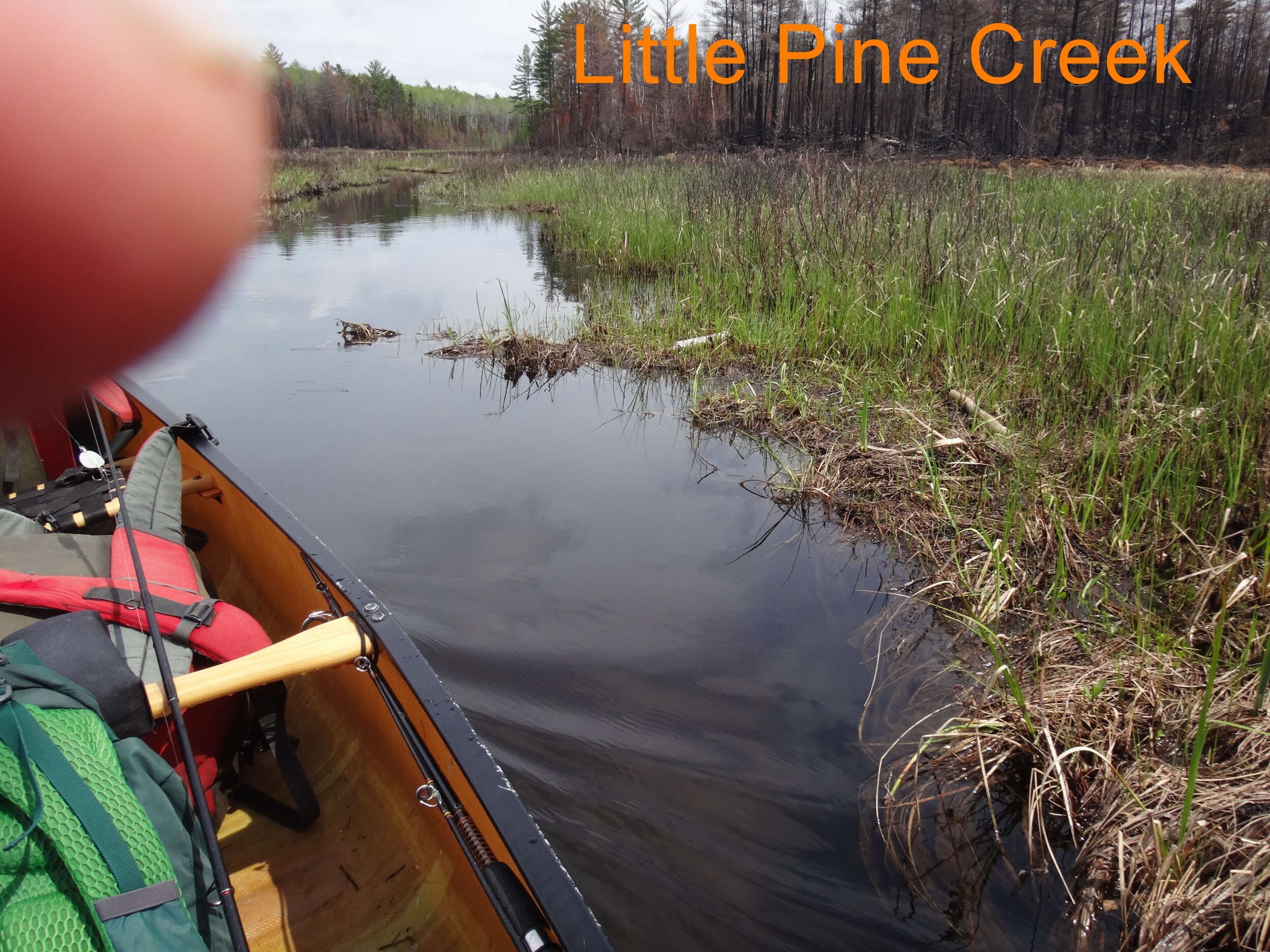 Little Pine Creej