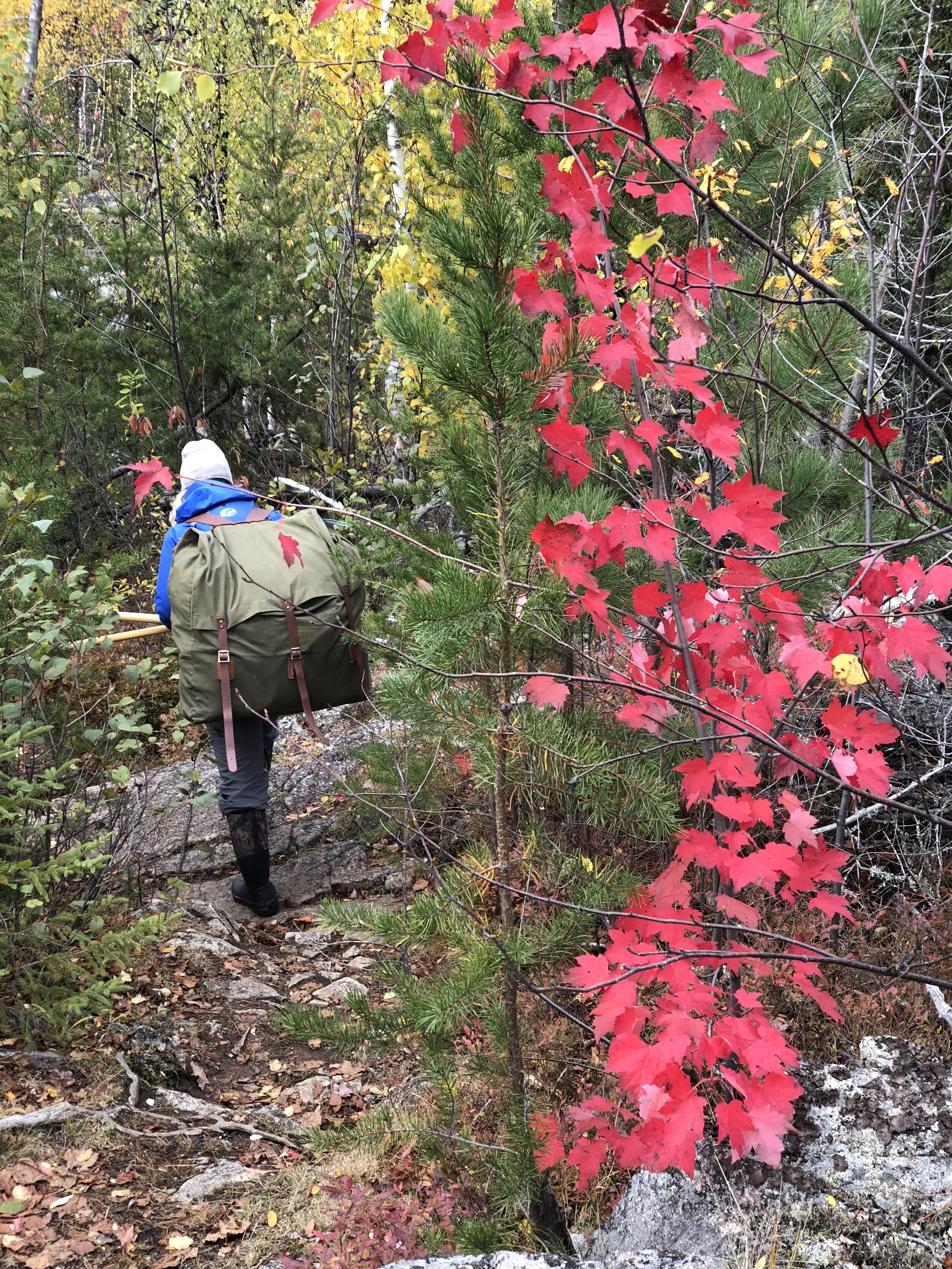 Granite River, October 2018