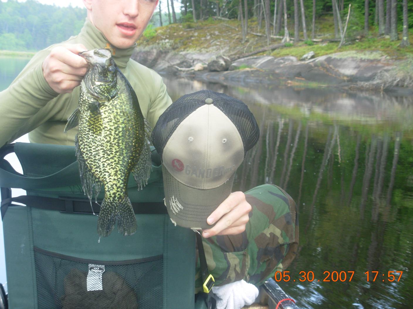 crappie