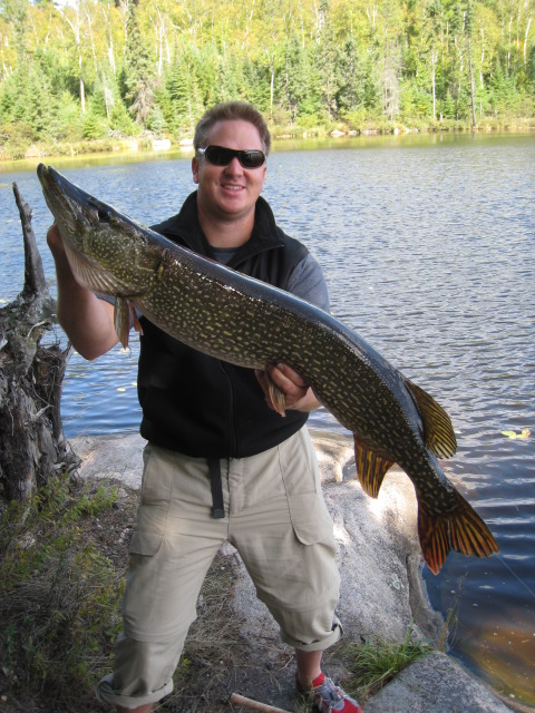 40 inch Pike