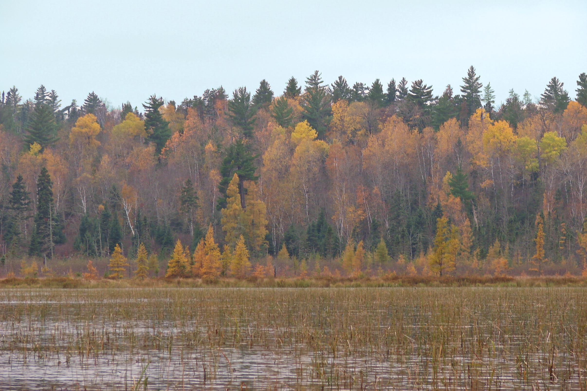 BWCA Fall Colors Boundary Waters Trip Planning Forum