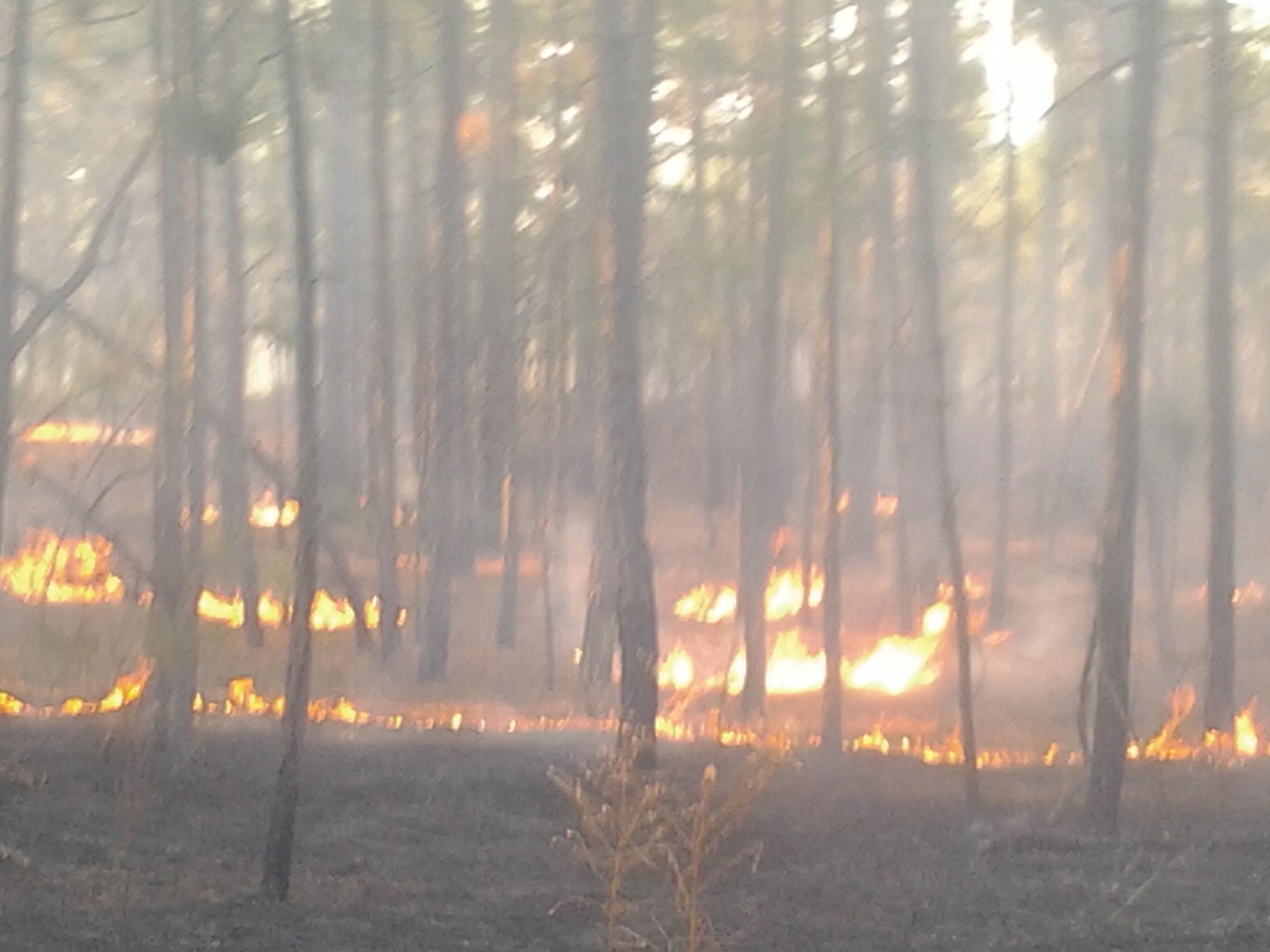 BWCA Light your Fire Boundary Waters Gear Forum