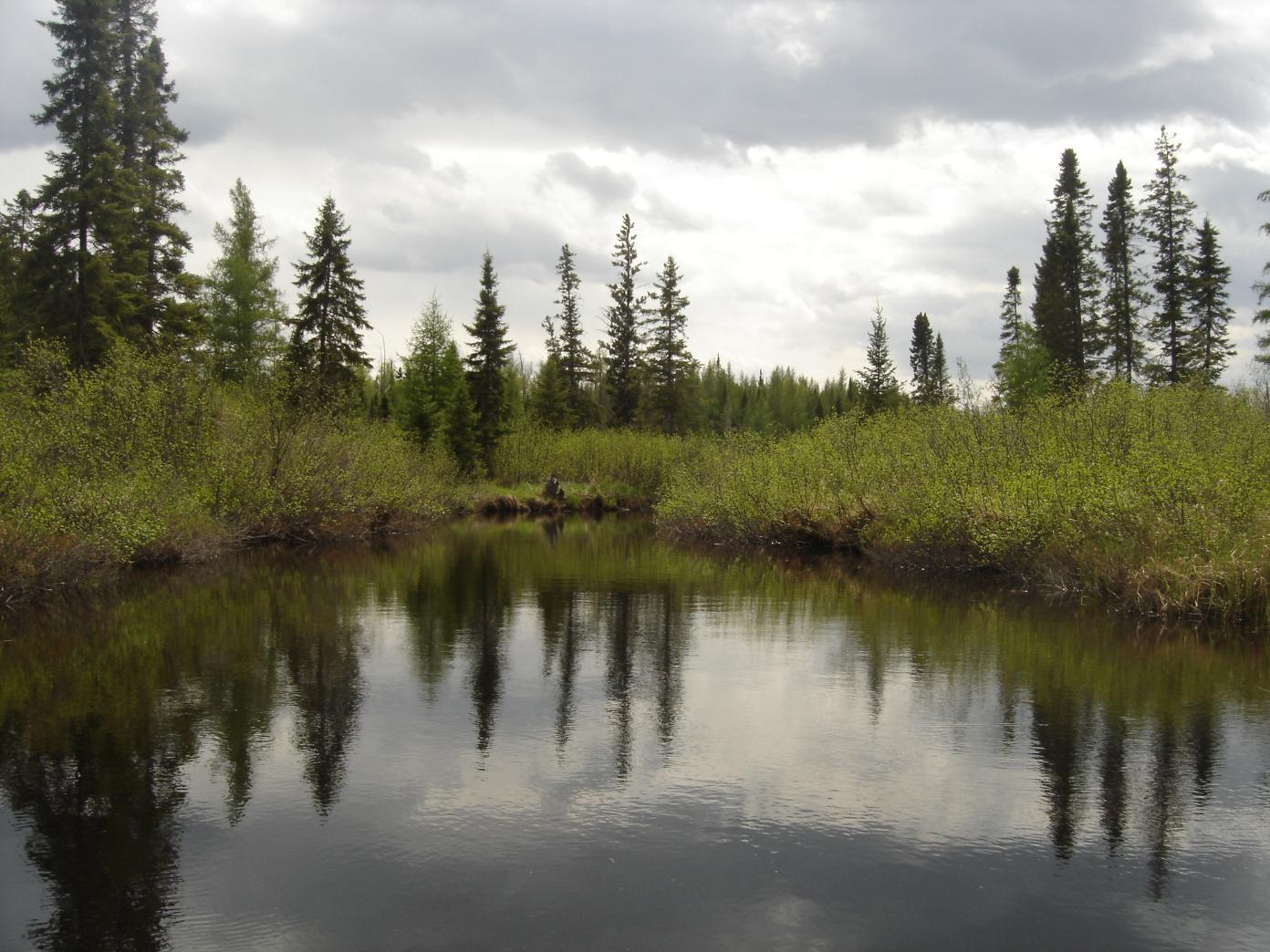 BWCA Hog Creek / Perent Lake Boundary Waters Fishing Forum