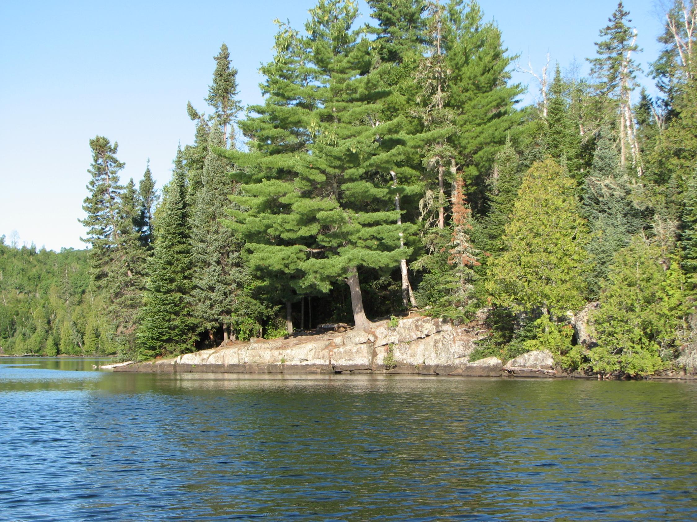 Caribou campsite