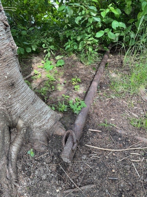 Wood Lake artifact