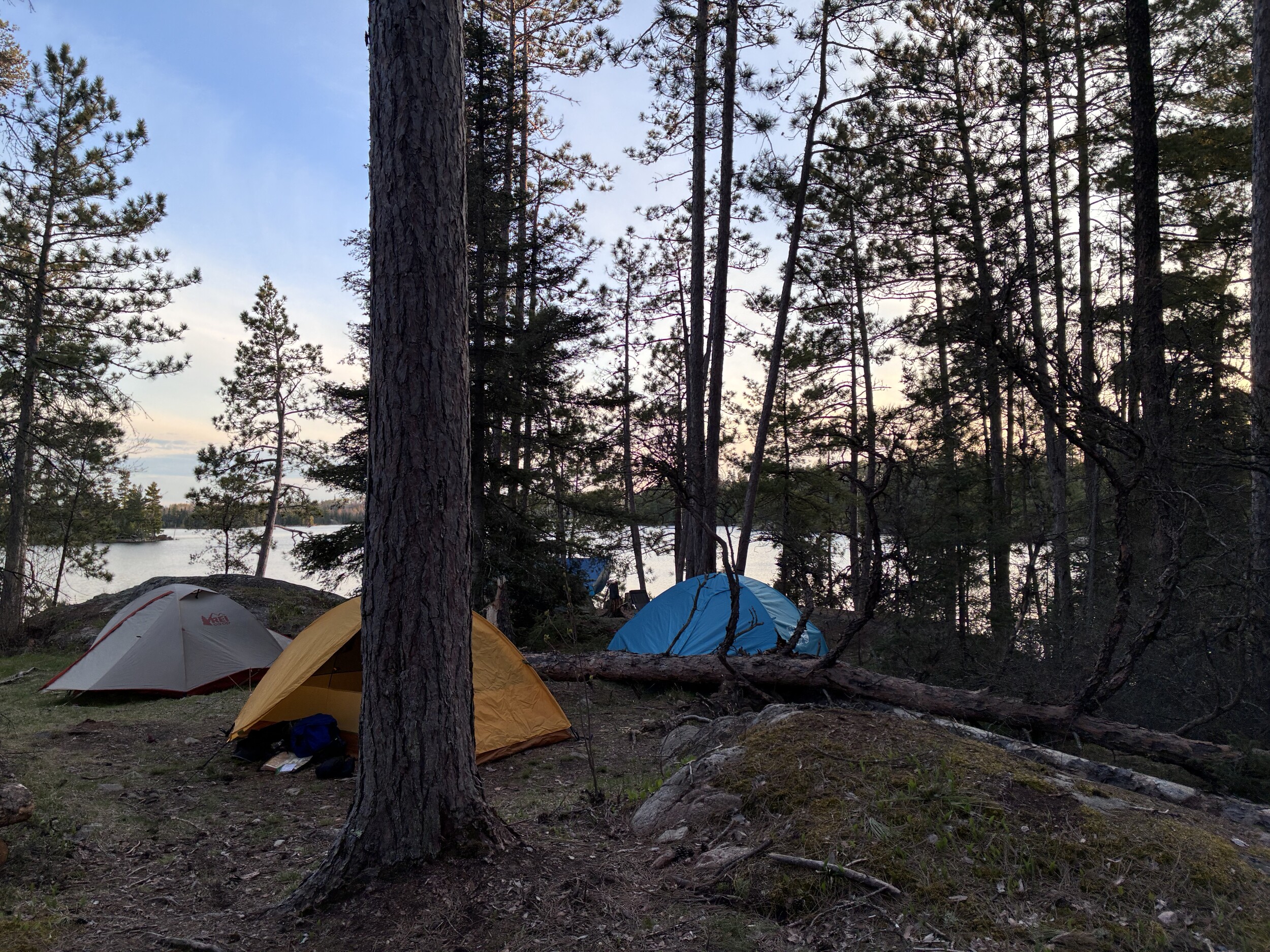 many tent pads