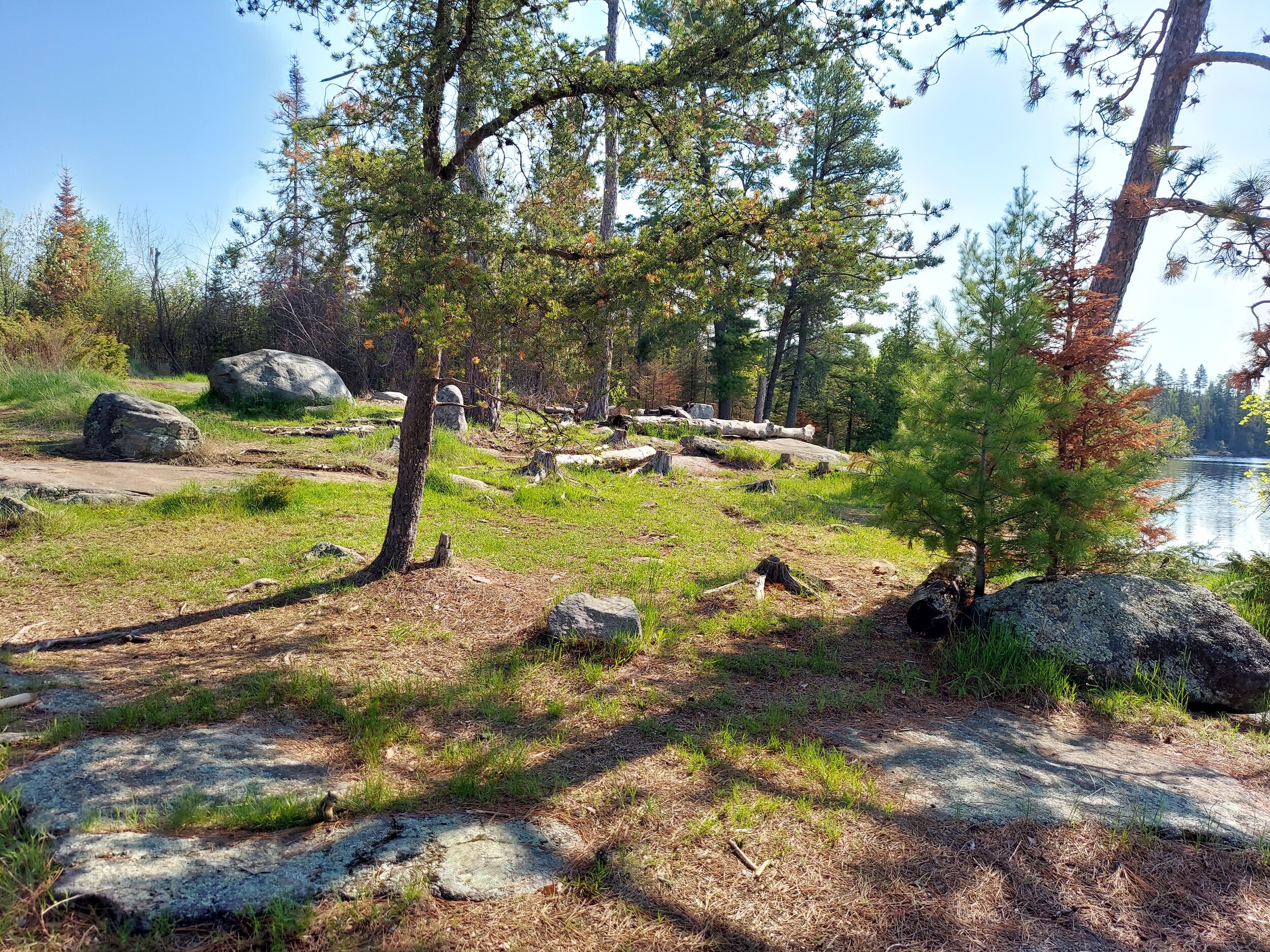 Campsite 1488