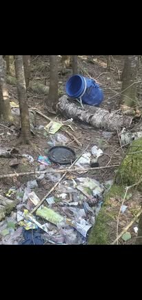 Caribou Lake Bear Barrel