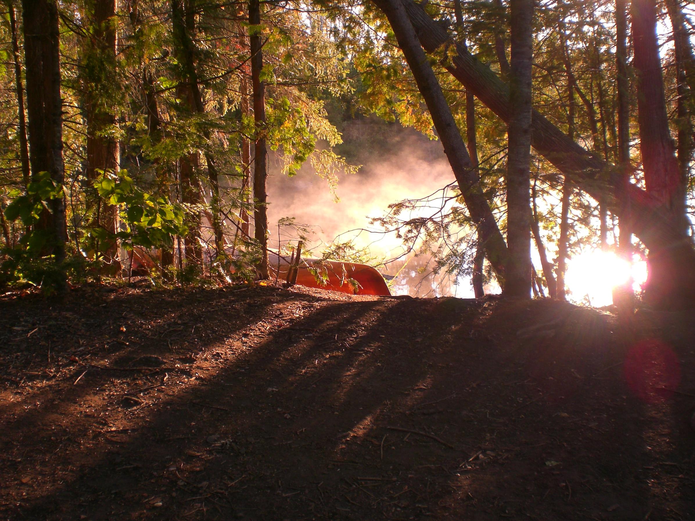 Misty Morning Sunrise