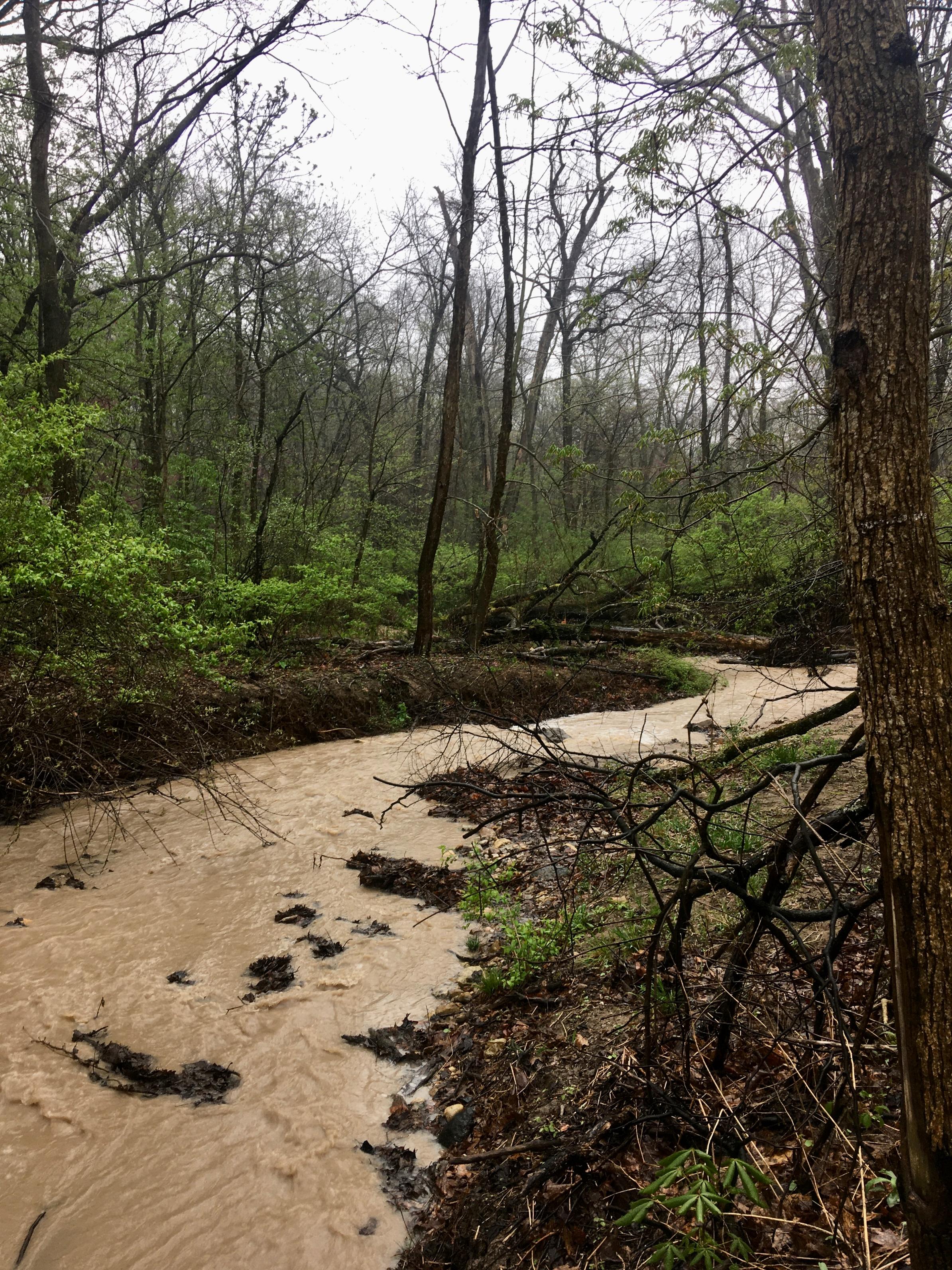 BWCA Rainy day hikes Boundary Waters Listening Point General Discussion