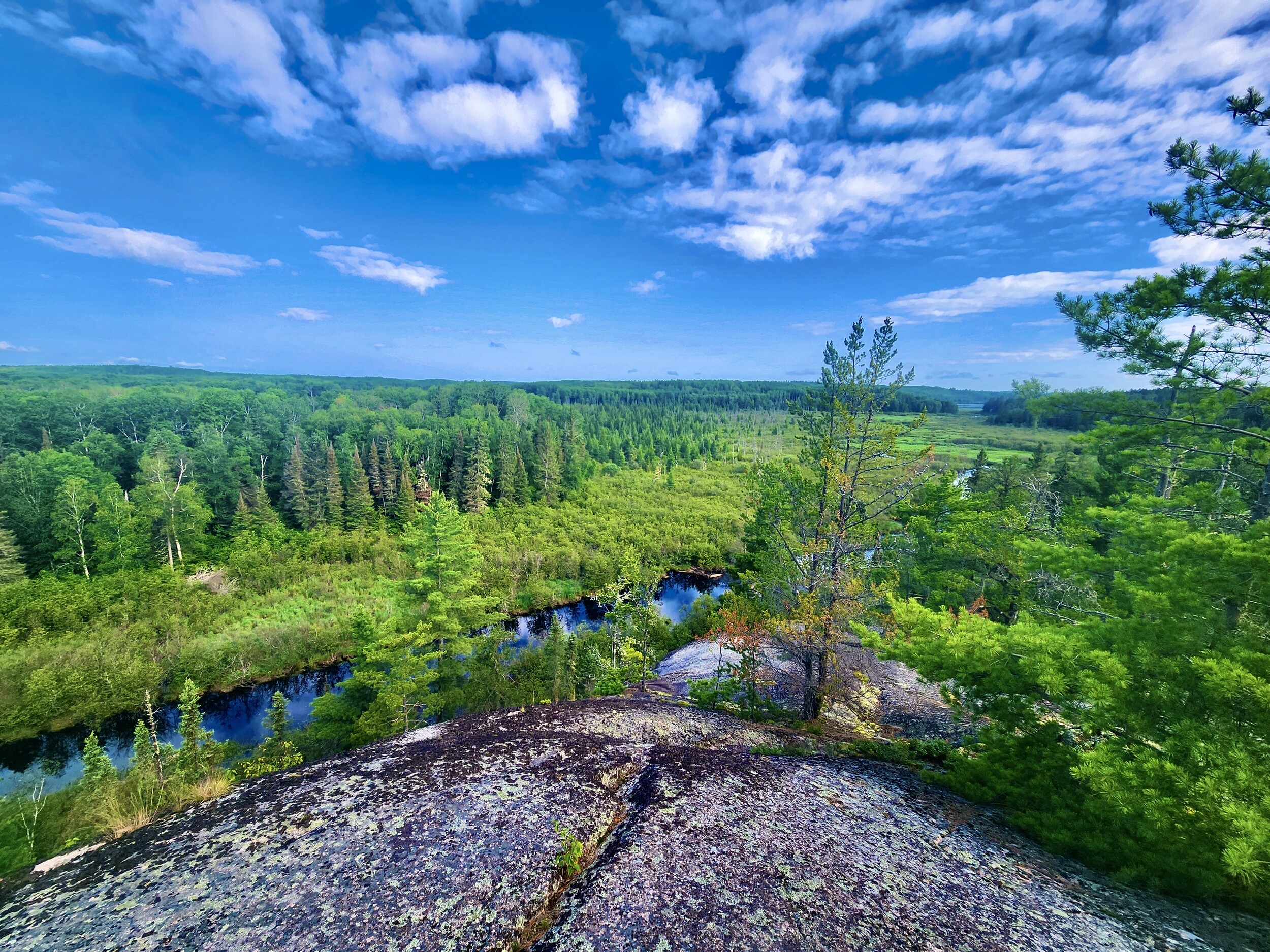 Moose River Vista