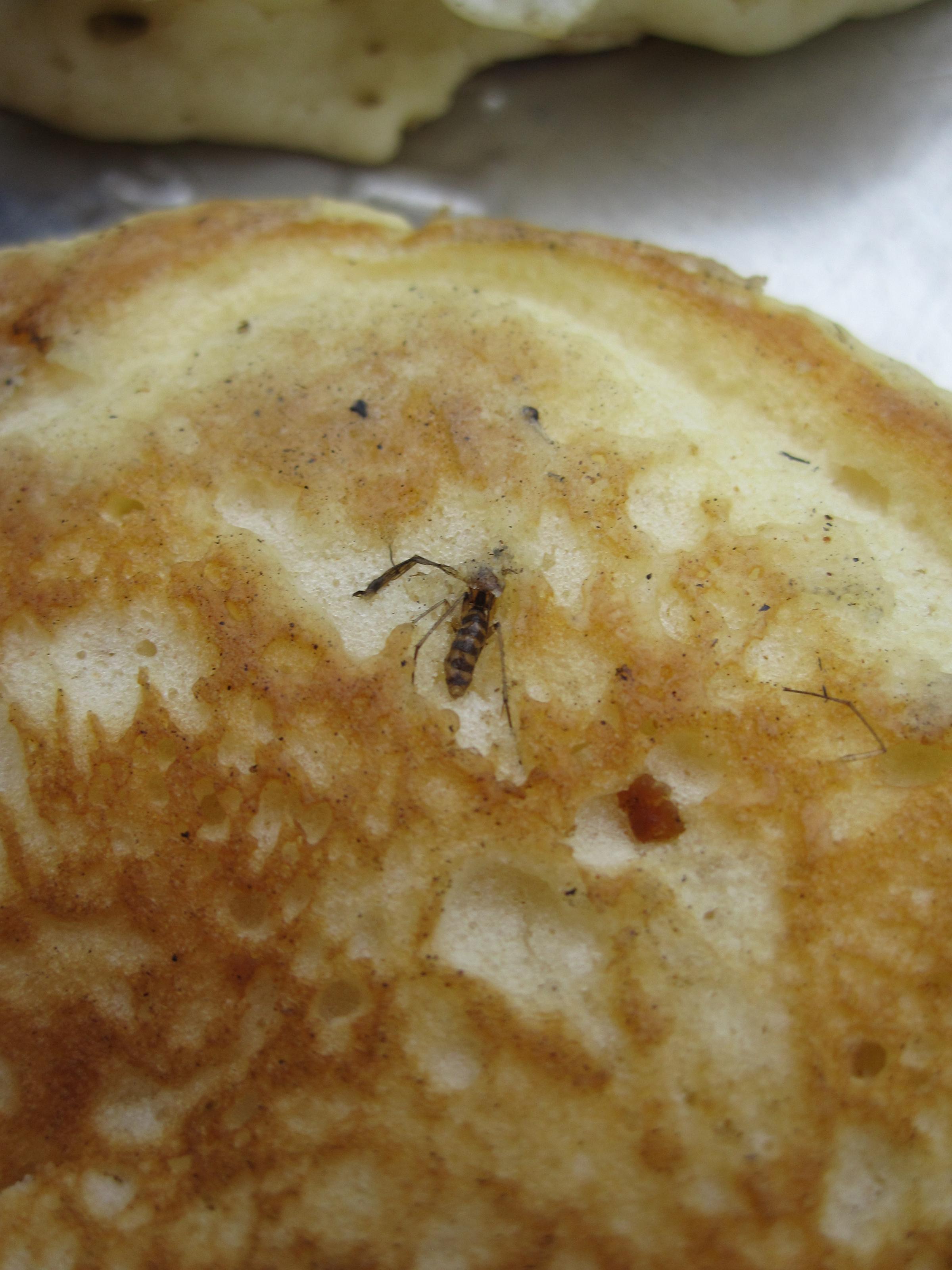 BWCA Weirdest concoctions or meal you have eaten in the BWCA Boundary ...