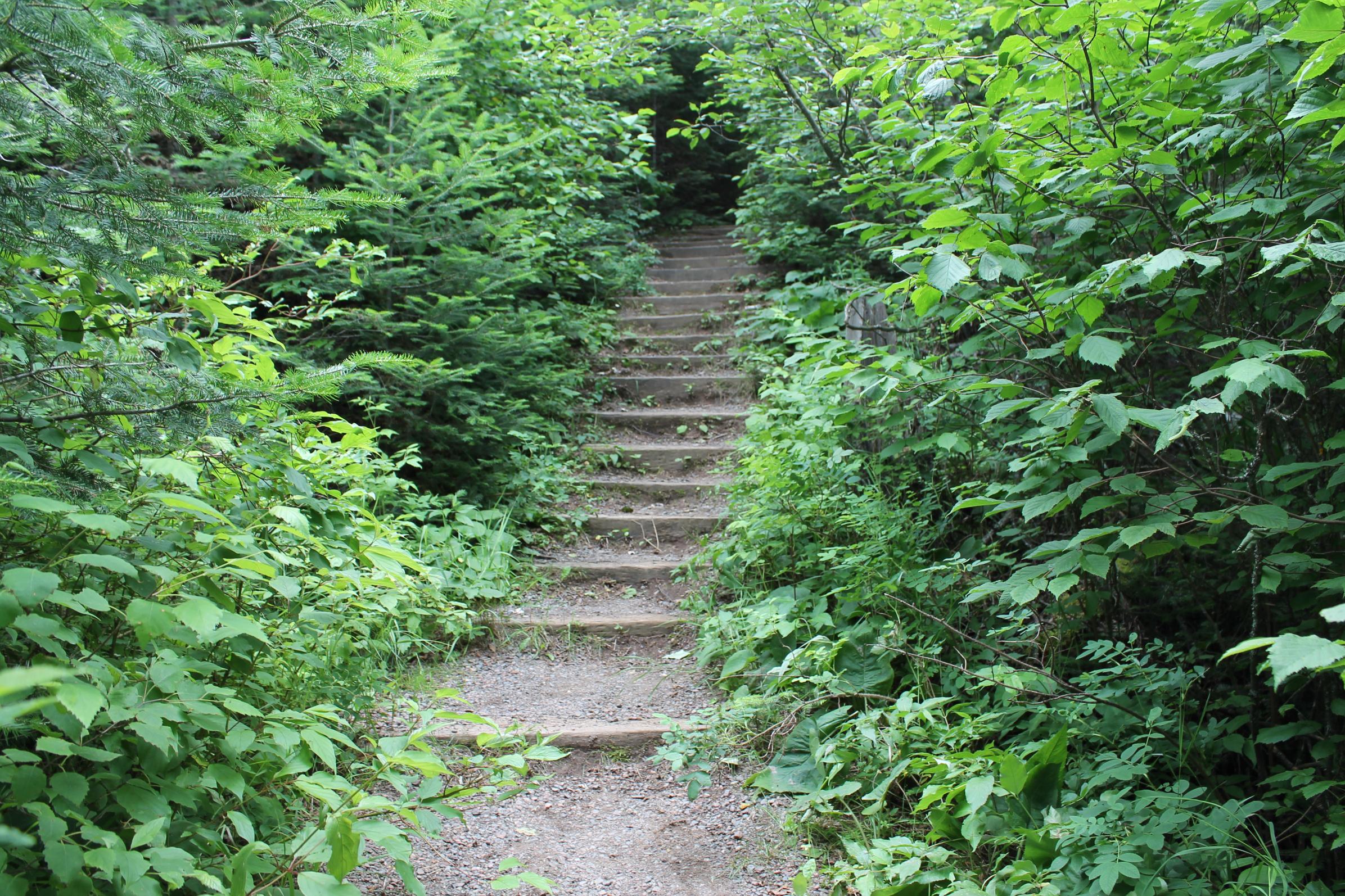 BWCA Hog Creek to Perent questions Boundary Waters Trip Planning Forum