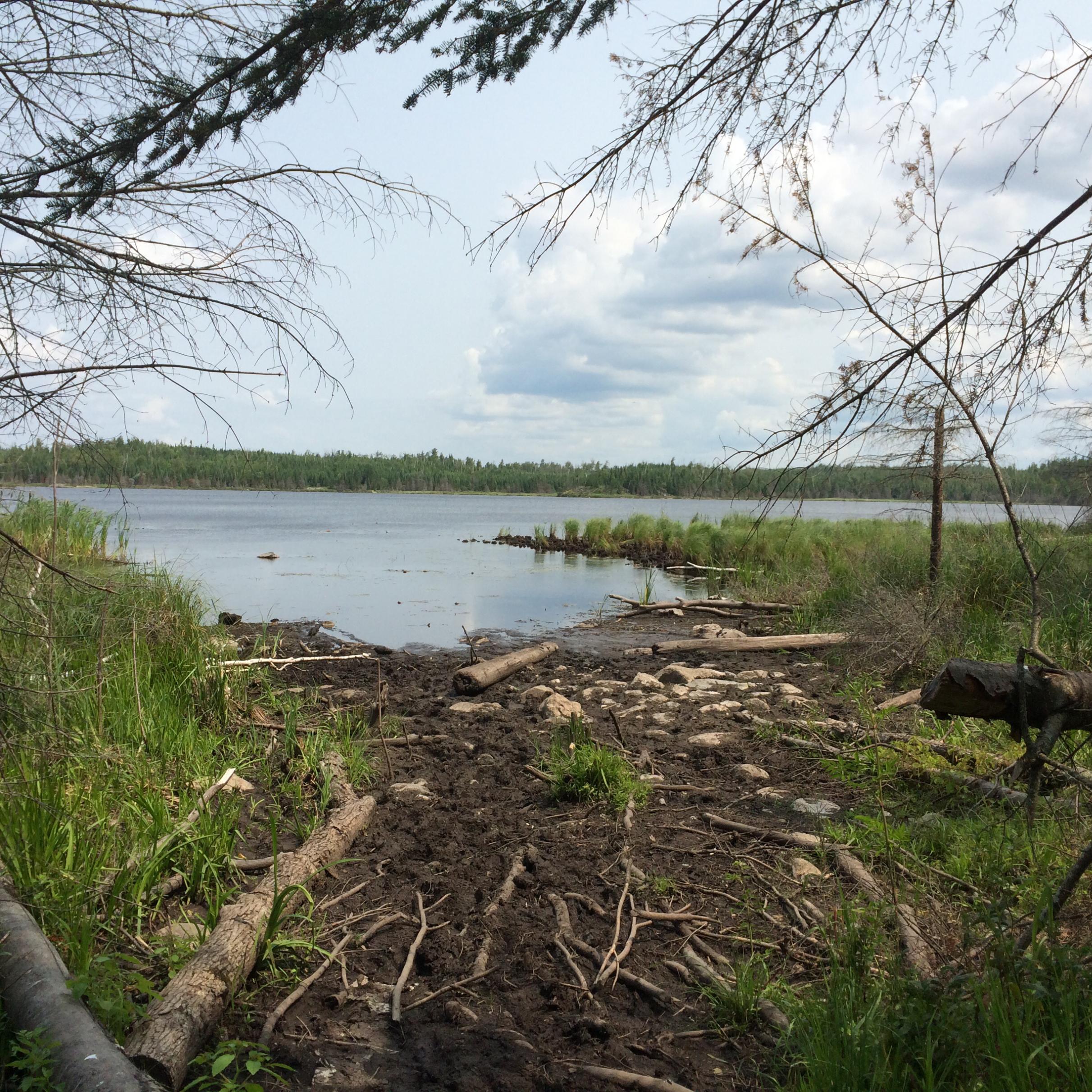 BWCA Wood Lake Boundary Waters Fishing Forum
