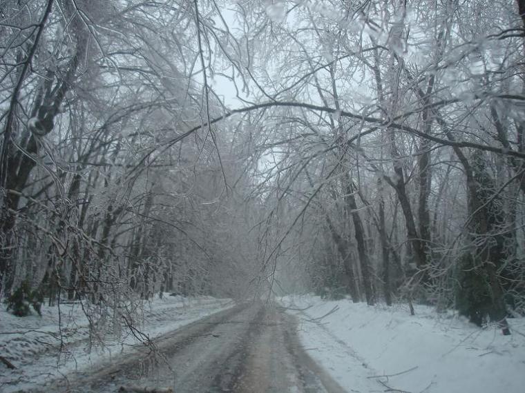 cramer rd